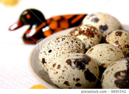 quail eggs quail eggs 9895542