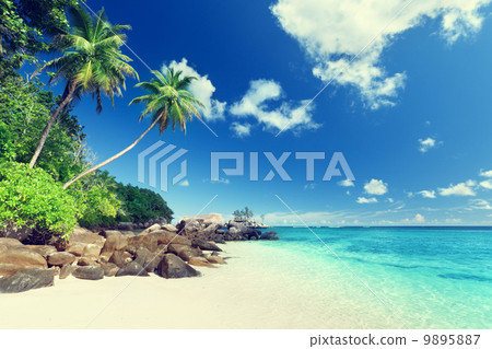 beach on Mahe island, Seychelles beach on Mahe island, Seychelles 9895887