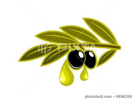 Olives on a leafy twig dripping oil 9896269