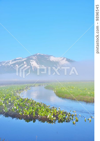 Morning fog and Ozegahara 9896545