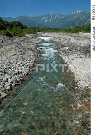 高麗在夏天玩耍 高麗在夏天玩耍 9896571