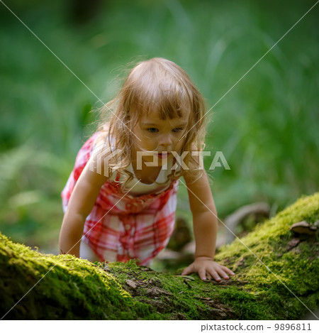 Little girl in the forest Little girl in the forest 9896811