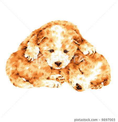 Pretty dog 9897003