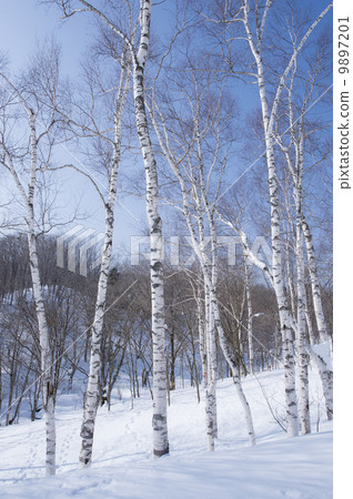 Winter landscape Winter landscape 9897201