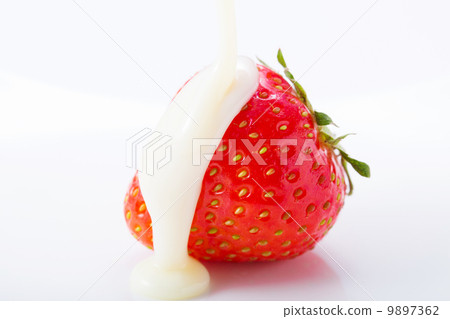 Strawberry strawberries Strawberry strawberries 9897362