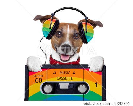 music dog 9897805