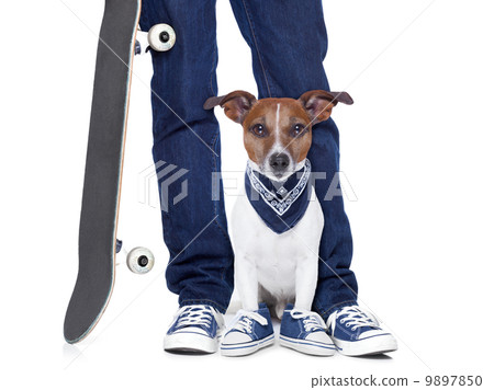dog owner and dog dog owner and dog 9897850