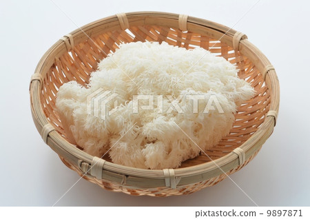 Yamabushitake Yamabushitake 9897871