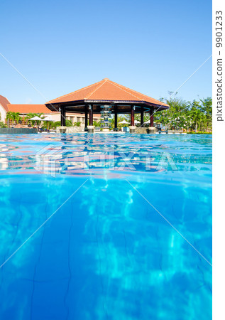 swimming pool with bar, Vietnam 9901233