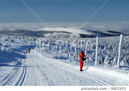 Winter Landscape of Jeseniky 9901935