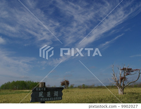 芬蘭湖的天空 9902027