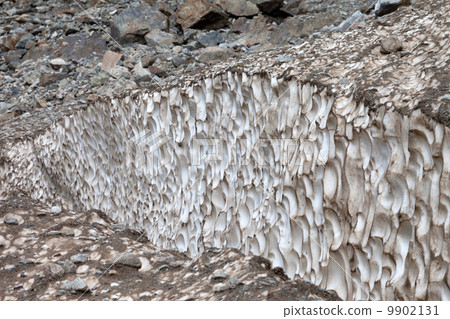Crevasse in glacier, close-up view. 9902131