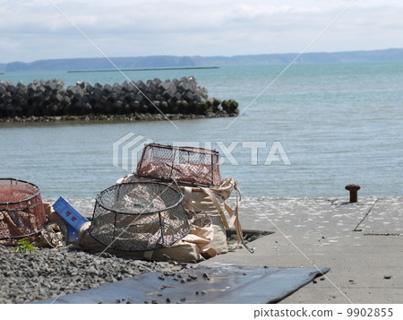 Coast of Akkeshi 9902855