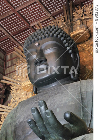 Todaiji 9902875