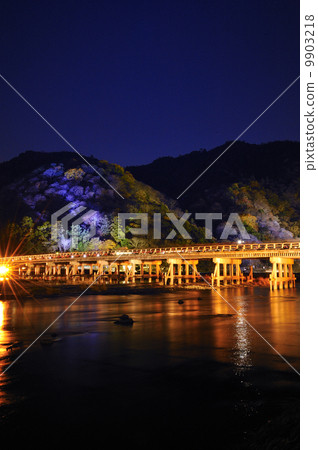 Kyoto Arashiyama Flower Light Road 9903218
