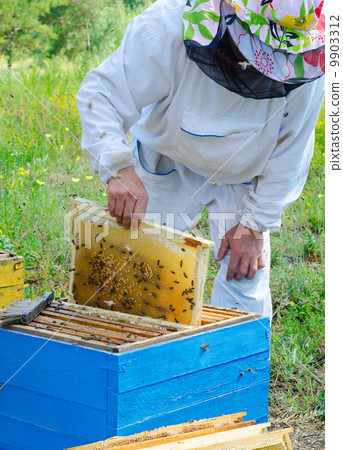 beekeeper at work beekeeper at work 9903312