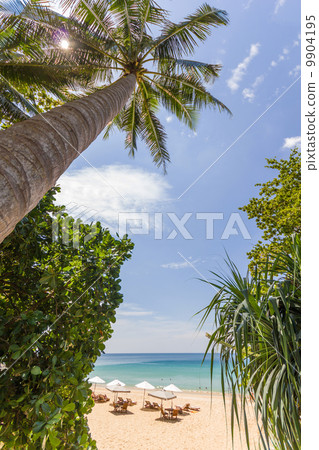 Beautiful summer beach at Koh Surin 9904195