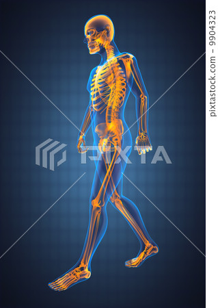 walking man radiography walking man radiography 9904323