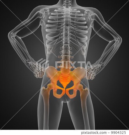 human radiography scan human radiography scan 9904325