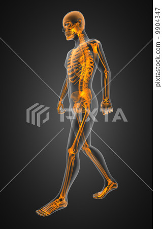 walking man radiography 9904347