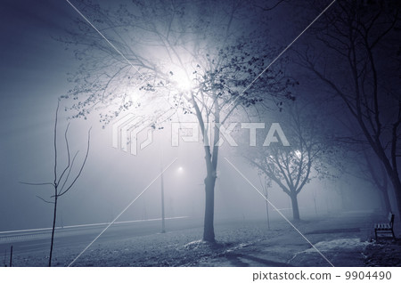 Foggy night 9904490