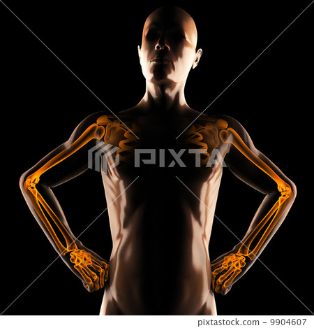 human radiography scan 9904607