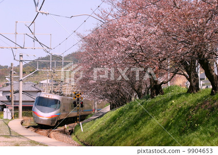 Cherry blossom foreline Cherry blossom foreline 9904653