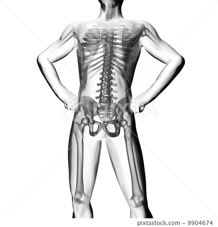 human radiography scan 9904674
