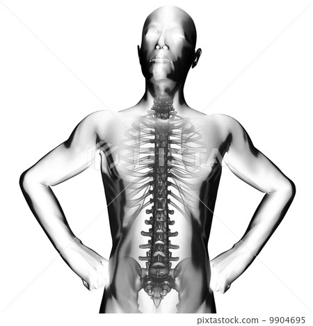 human radiography scan human radiography scan 9904695