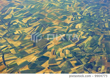 Green plains 9904773