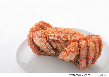Hair crab 9905061
