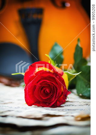 Violin sheet music and rose Violin sheet music and rose 9905208