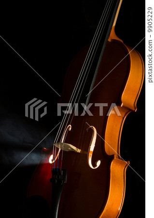 Elegant violin with smoke Elegant violin with smoke 9905229
