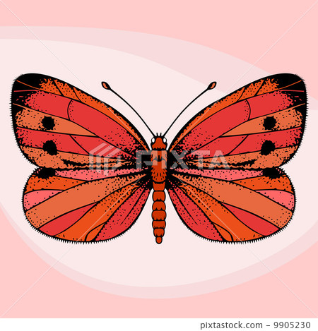 Red butterfly 9905230