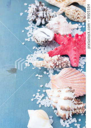 border os sea salt and shells 9905384