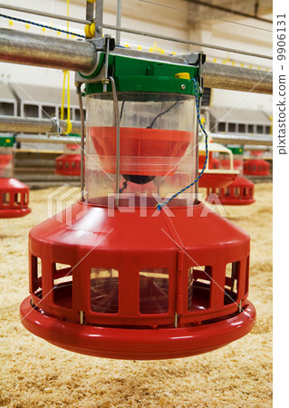 poultry farm 9906131