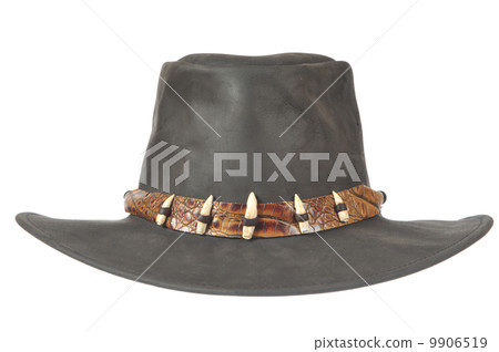 Cowboy hat with crocodale teeth 9906519