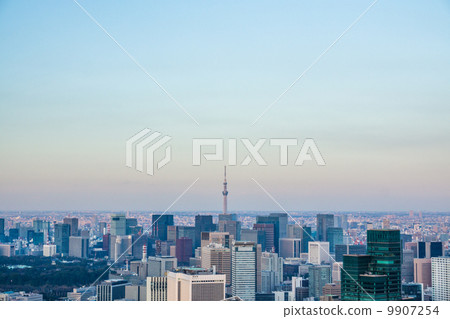 摩天大樓和天空樹 9907254