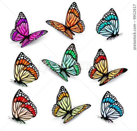 Set of realistic colorful vector butterflies. Set of realistic colorful vector butterflies. 9912617