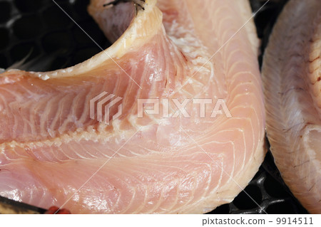 Snakeskin gourami fish drying in the outside Snakeskin gourami fish drying in the outside 9914511