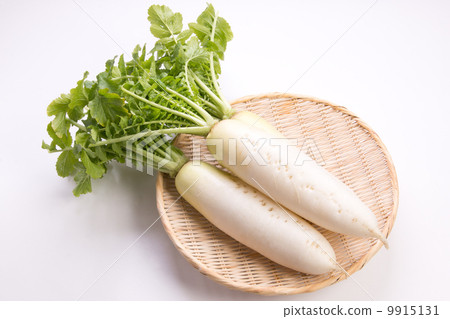 葉蘿蔔 葉蘿蔔 9915131