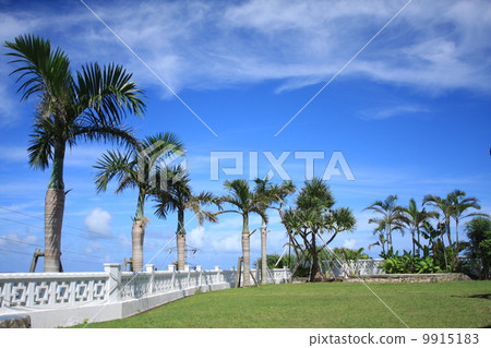 Blue sky Blue sky 9915183