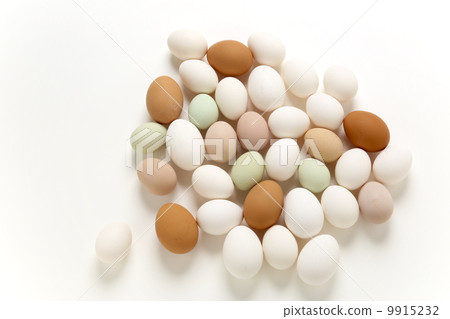 一個雞蛋 一個雞蛋 9915232