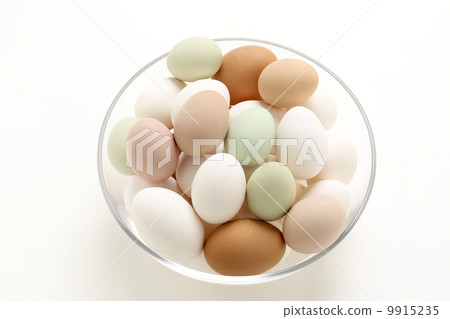 An egg An egg 9915235