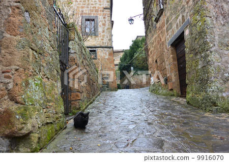 Civita di Bagnoleto cat Civita di Bagnoleto cat 9916070