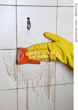 Cleaning of dirty old tiles in a bathroom 9916258
