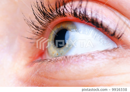 green eye green eye 9916338