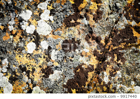 Background of stone rock with lichen moss Background of stone rock with lichen moss 9917440