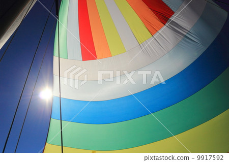 The wind has filled colorful spinnaker sail The wind has filled colorful spinnaker sail 9917592