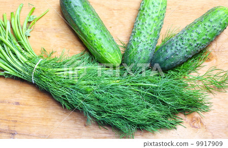 bunch fresh dill and cucumbers on wooden table 9917909